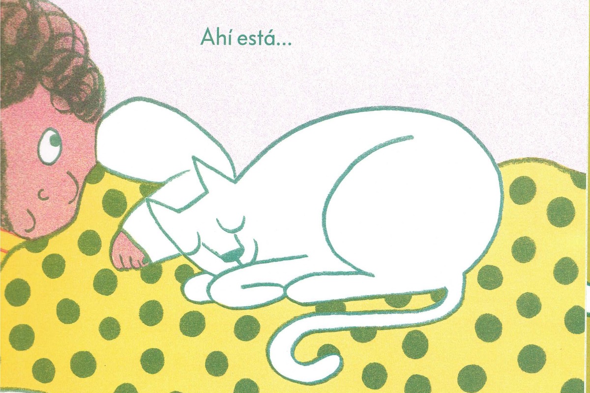 ¿Dónde está el gato?