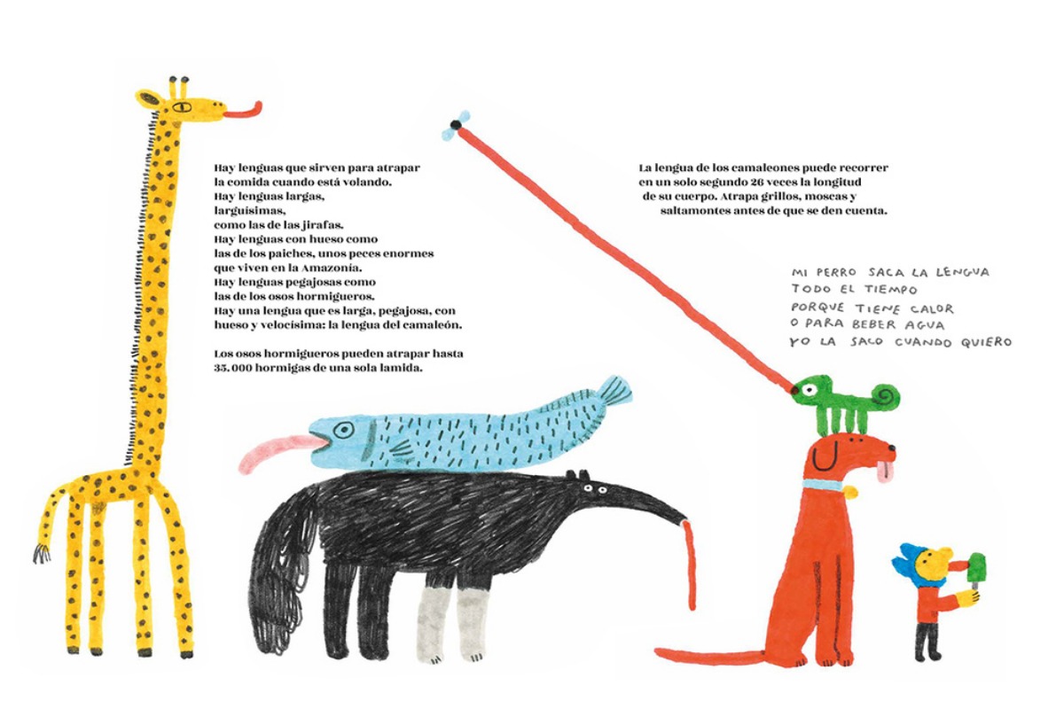Ilustraciones de libro 