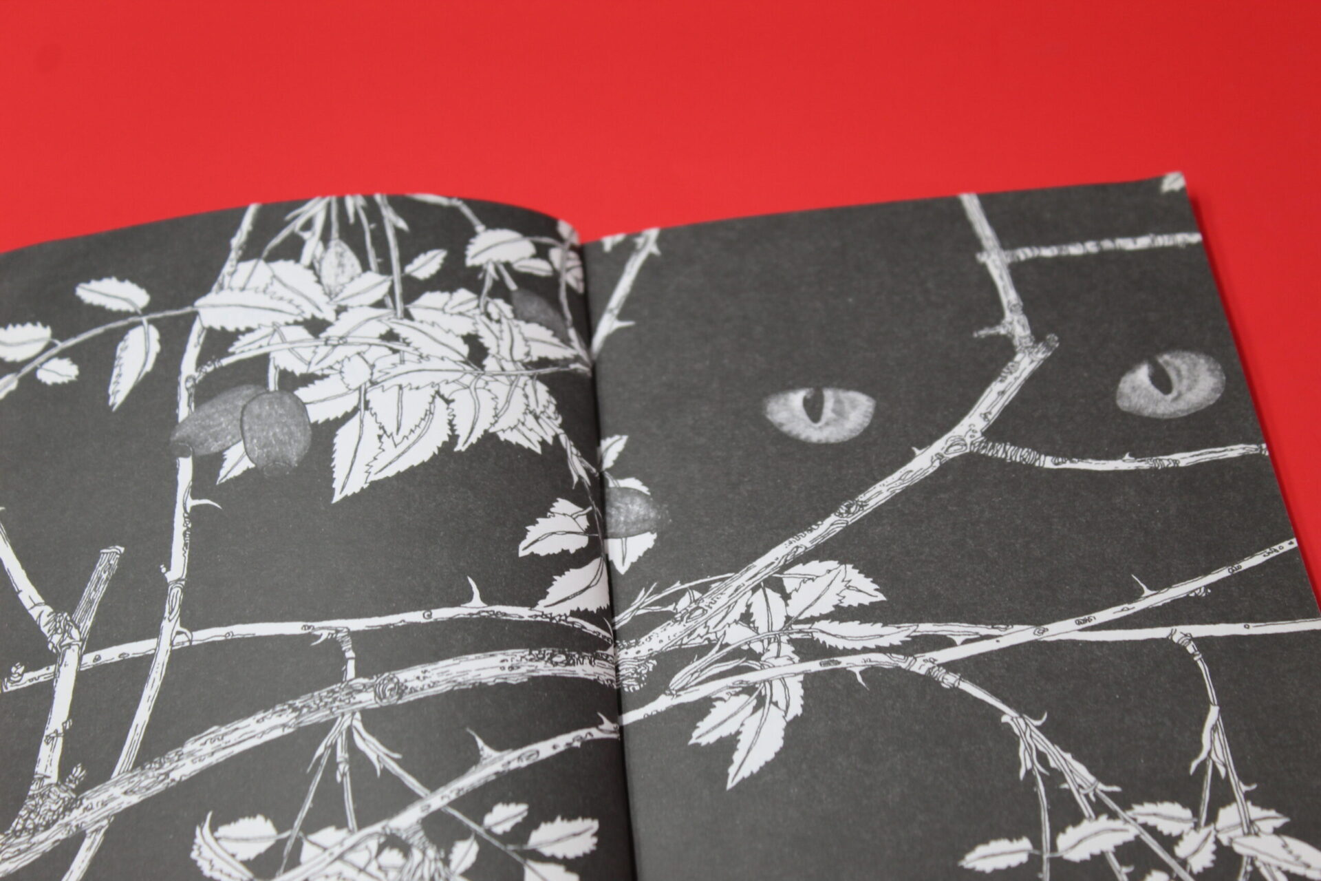 Antología de poemas