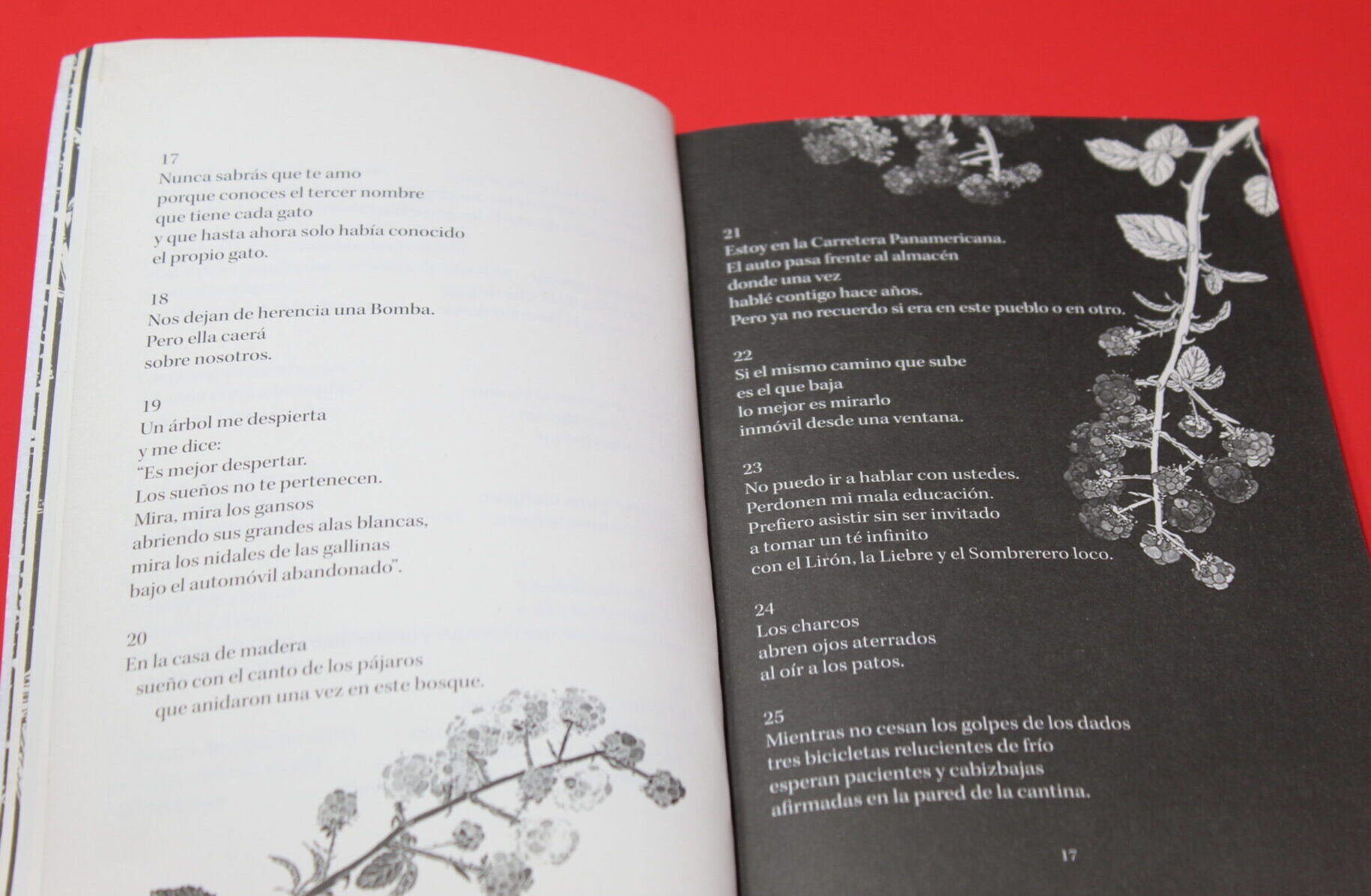 Antología de poemas