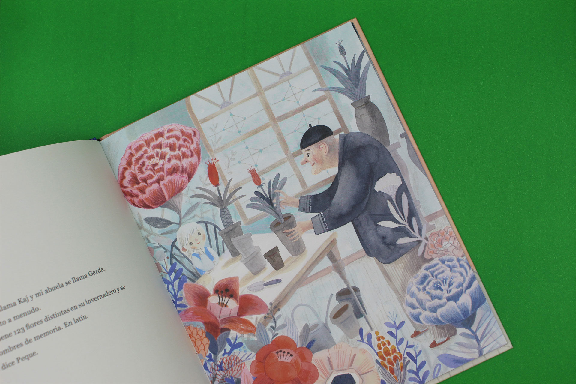 Café conejo hortensia ausencia