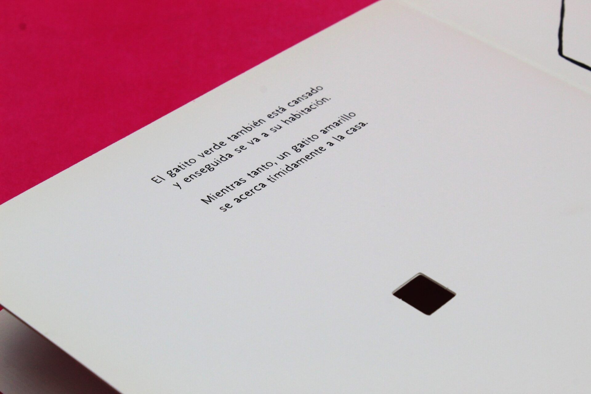 ¡A dormir, gatitos!