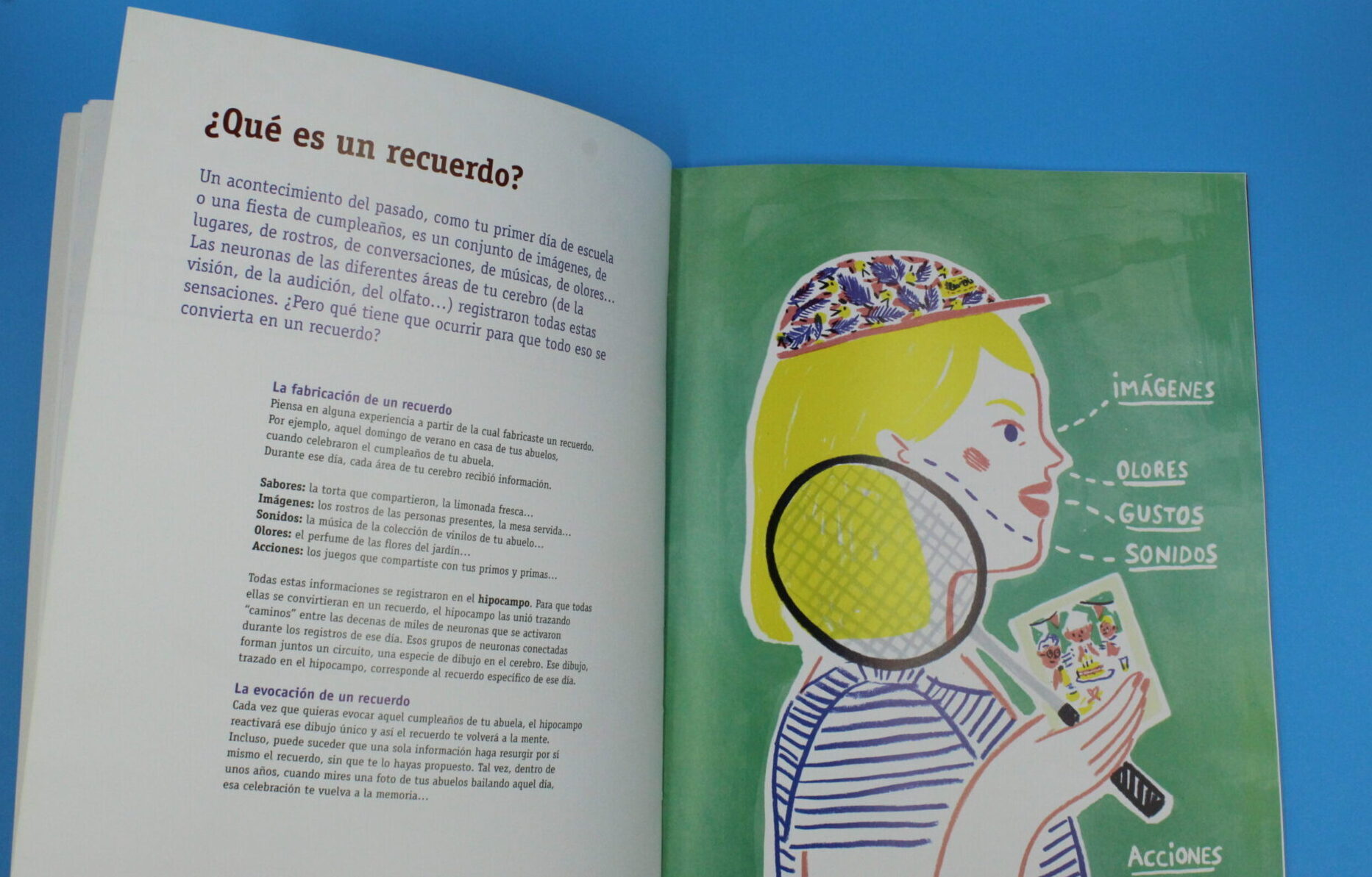 ¿Cómo funciona la memoria?