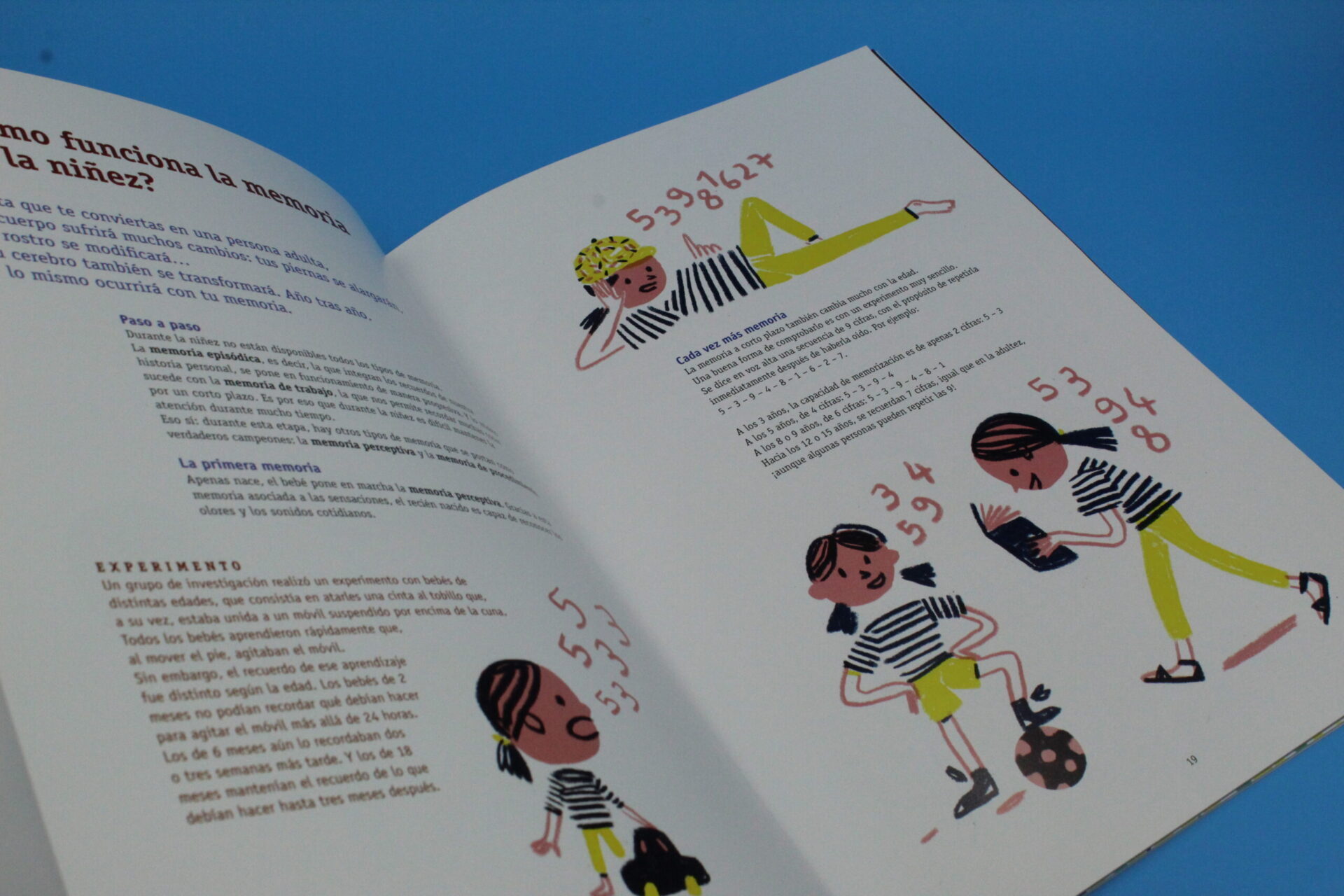 ¿Cómo funciona la memoria?