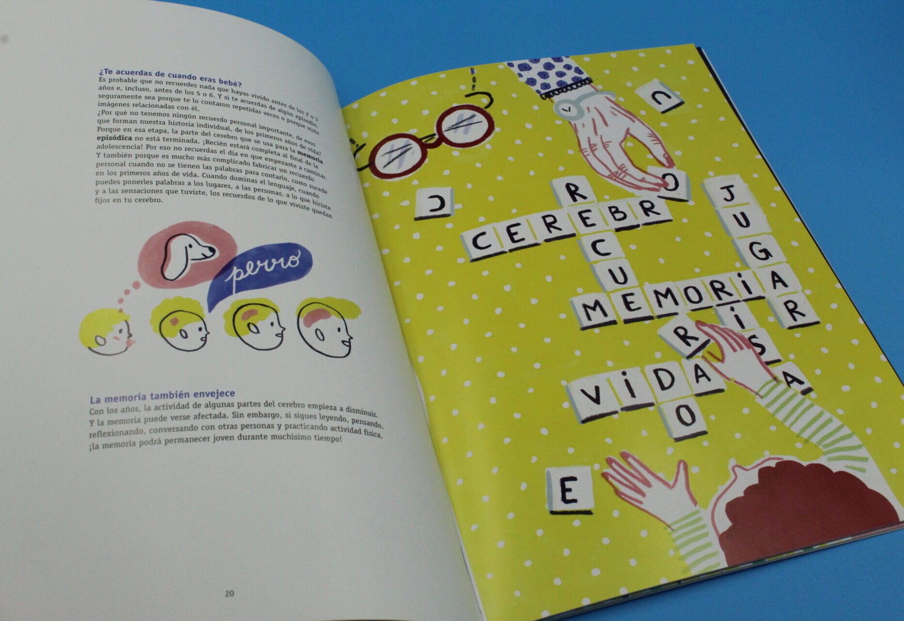 ¿Cómo funciona la memoria?