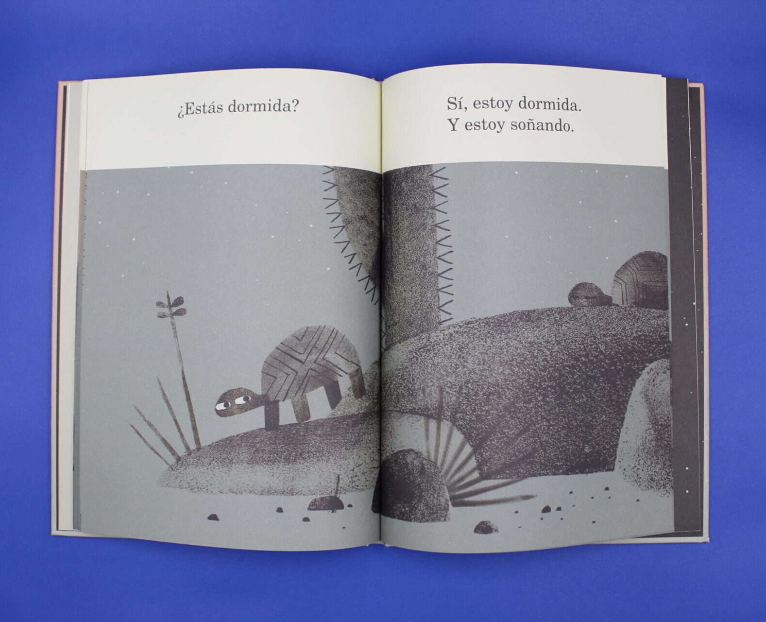 Dos tortugas y un sombrero