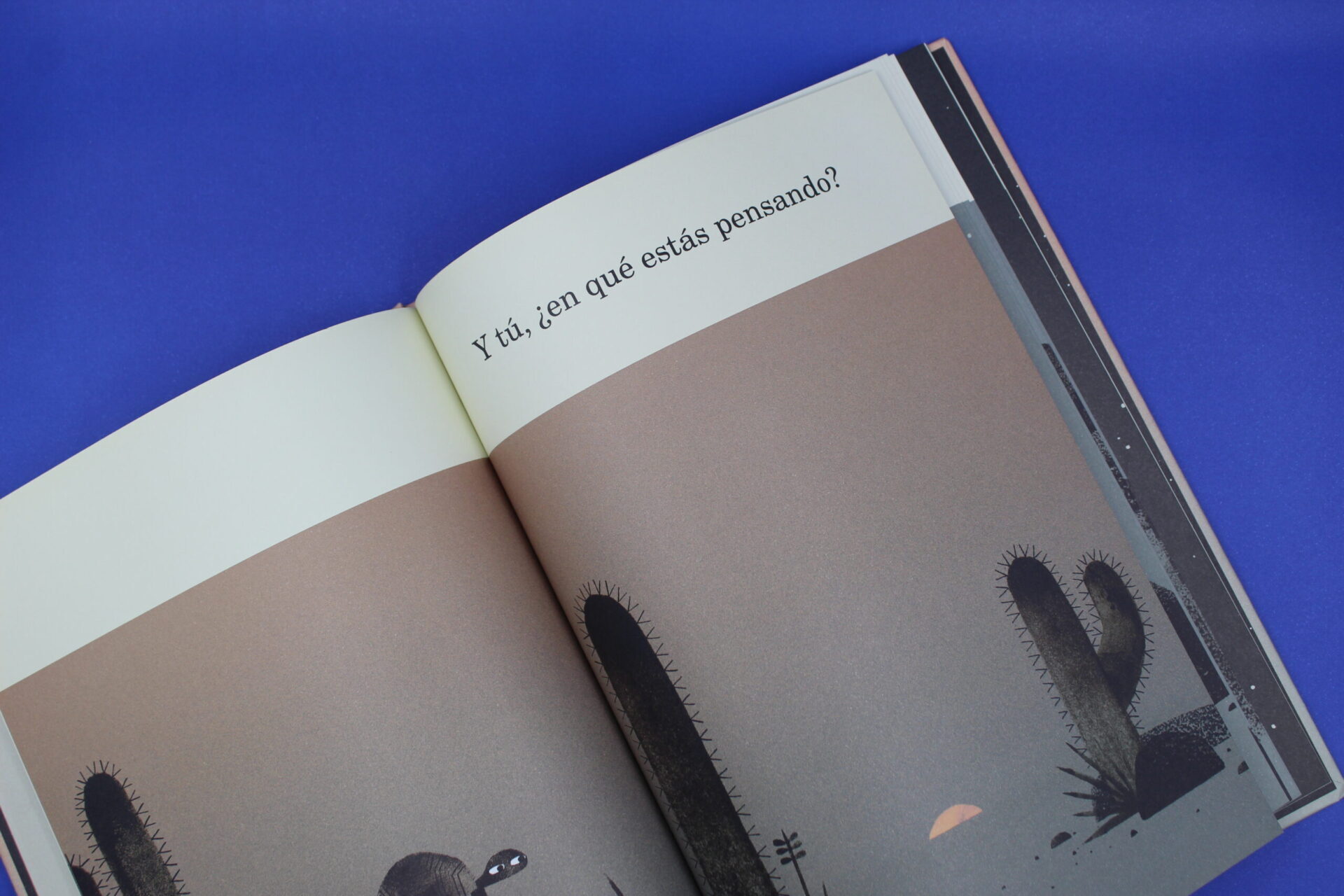 Dos tortugas y un sombrero