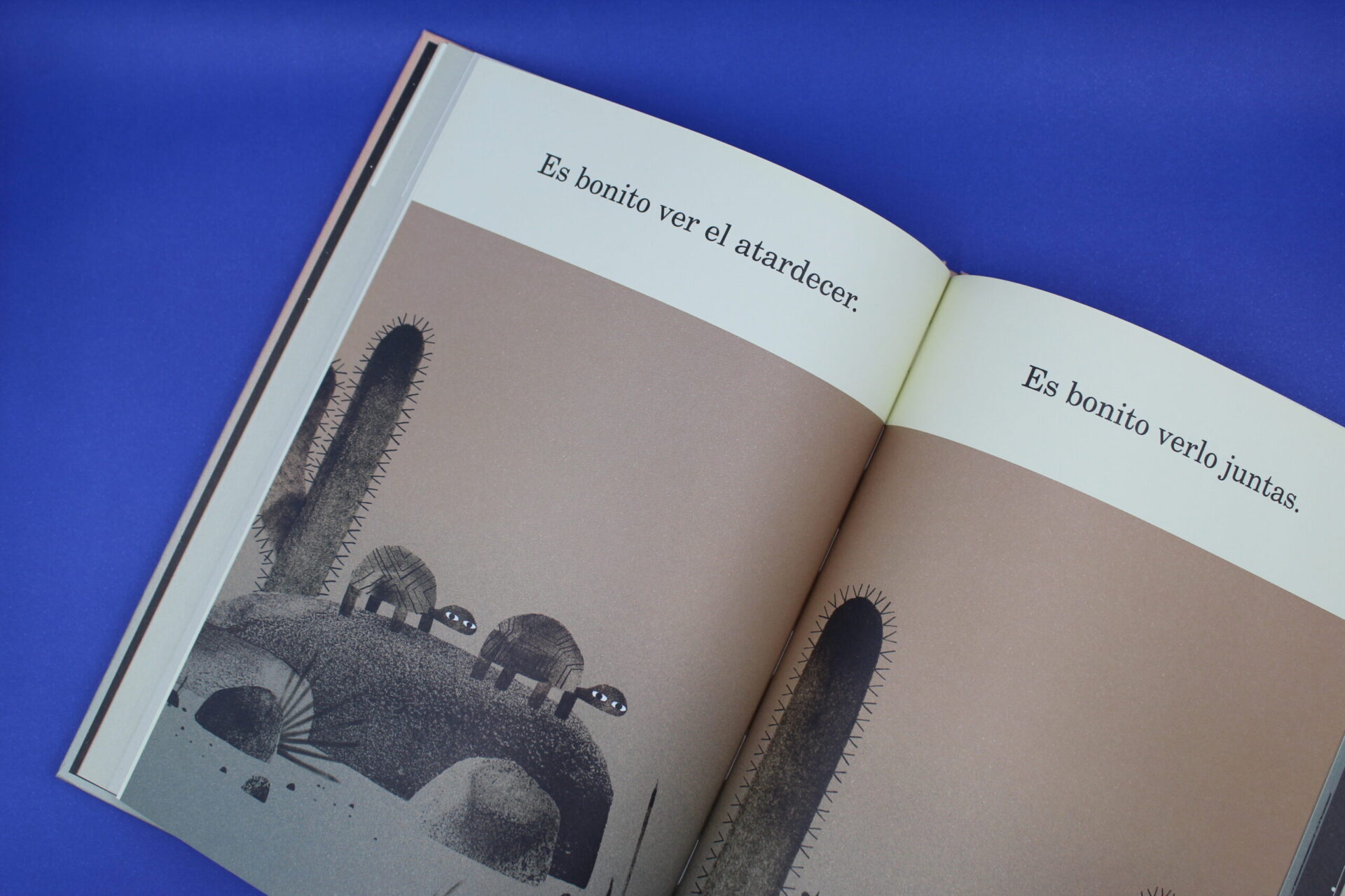 Dos tortugas y un sombrero