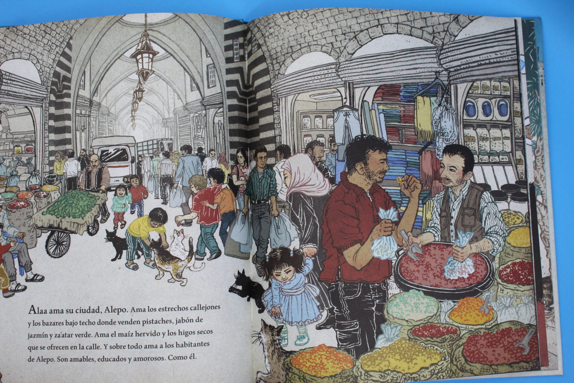 El hombre de los gatos