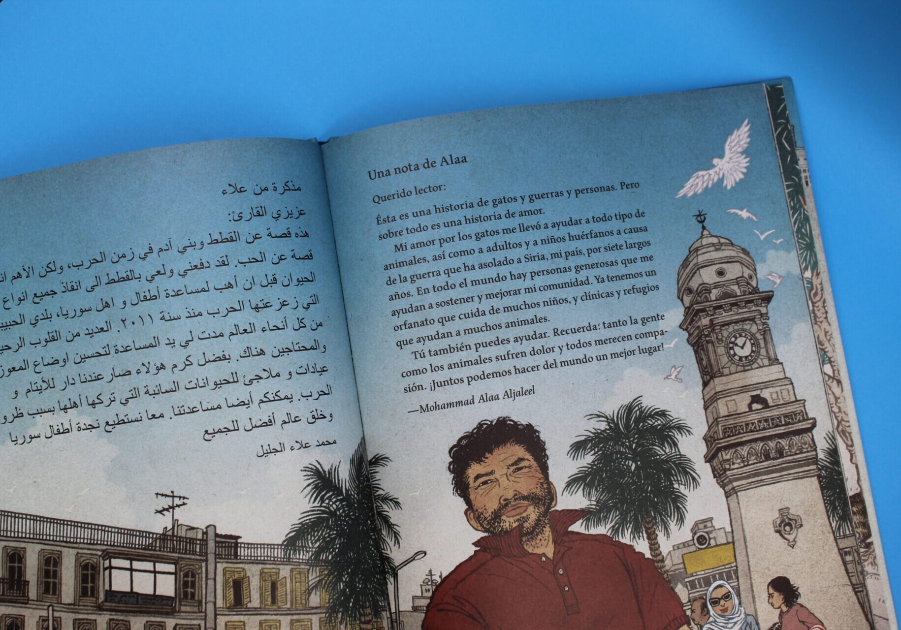 El hombre de los gatos