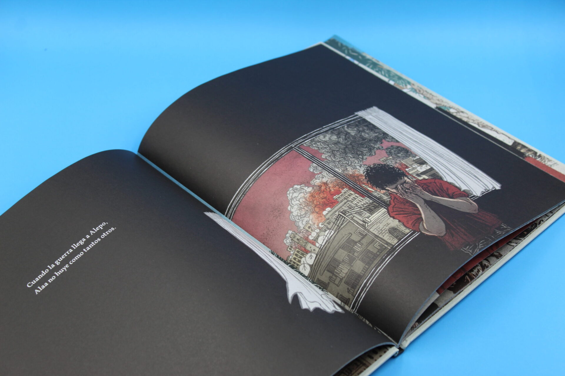 El hombre de los gatos