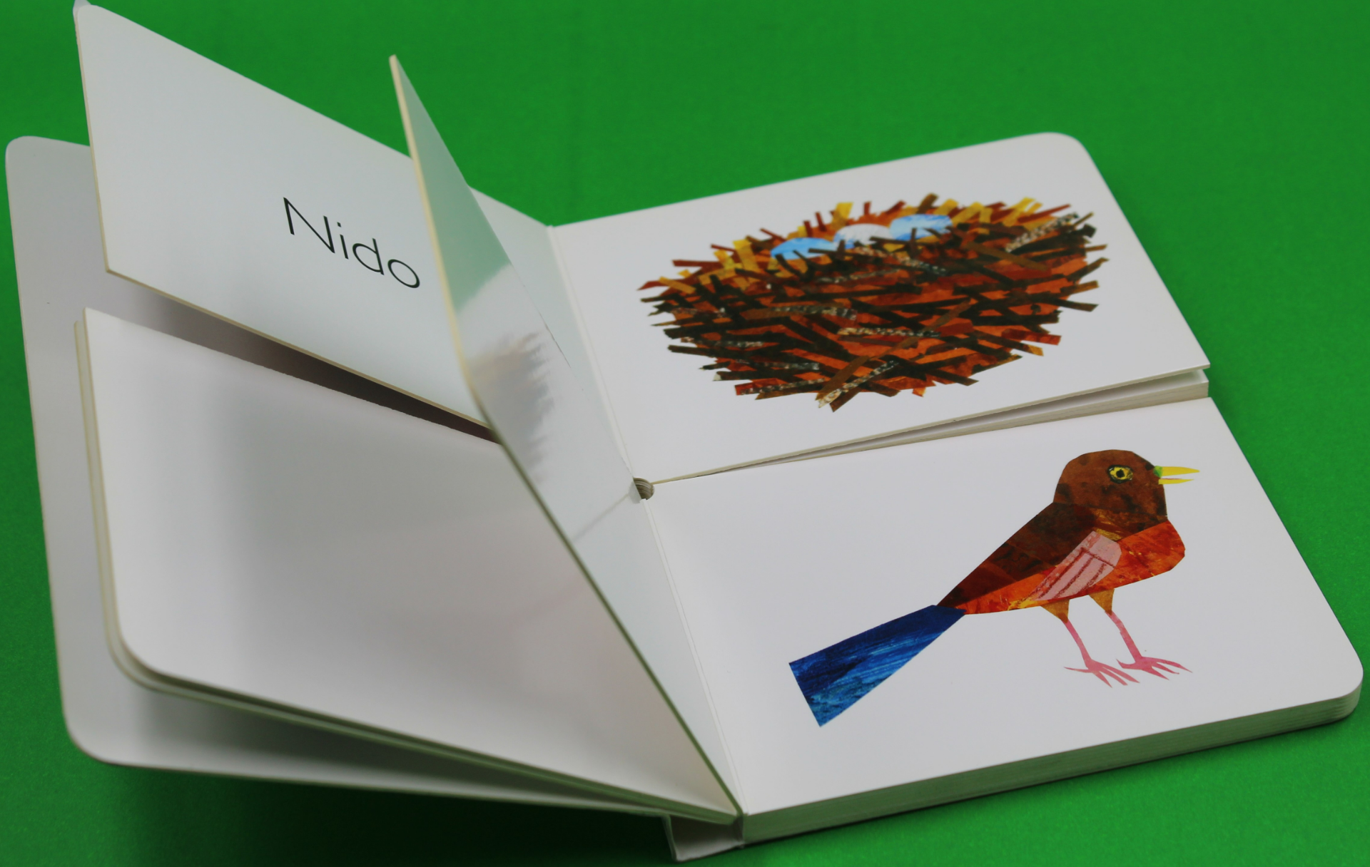 Mi primer libro de hogares de animales