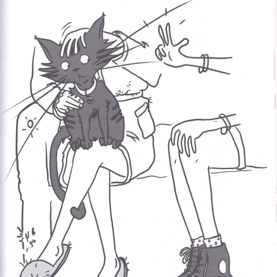 Una selección de espléndidos gatos