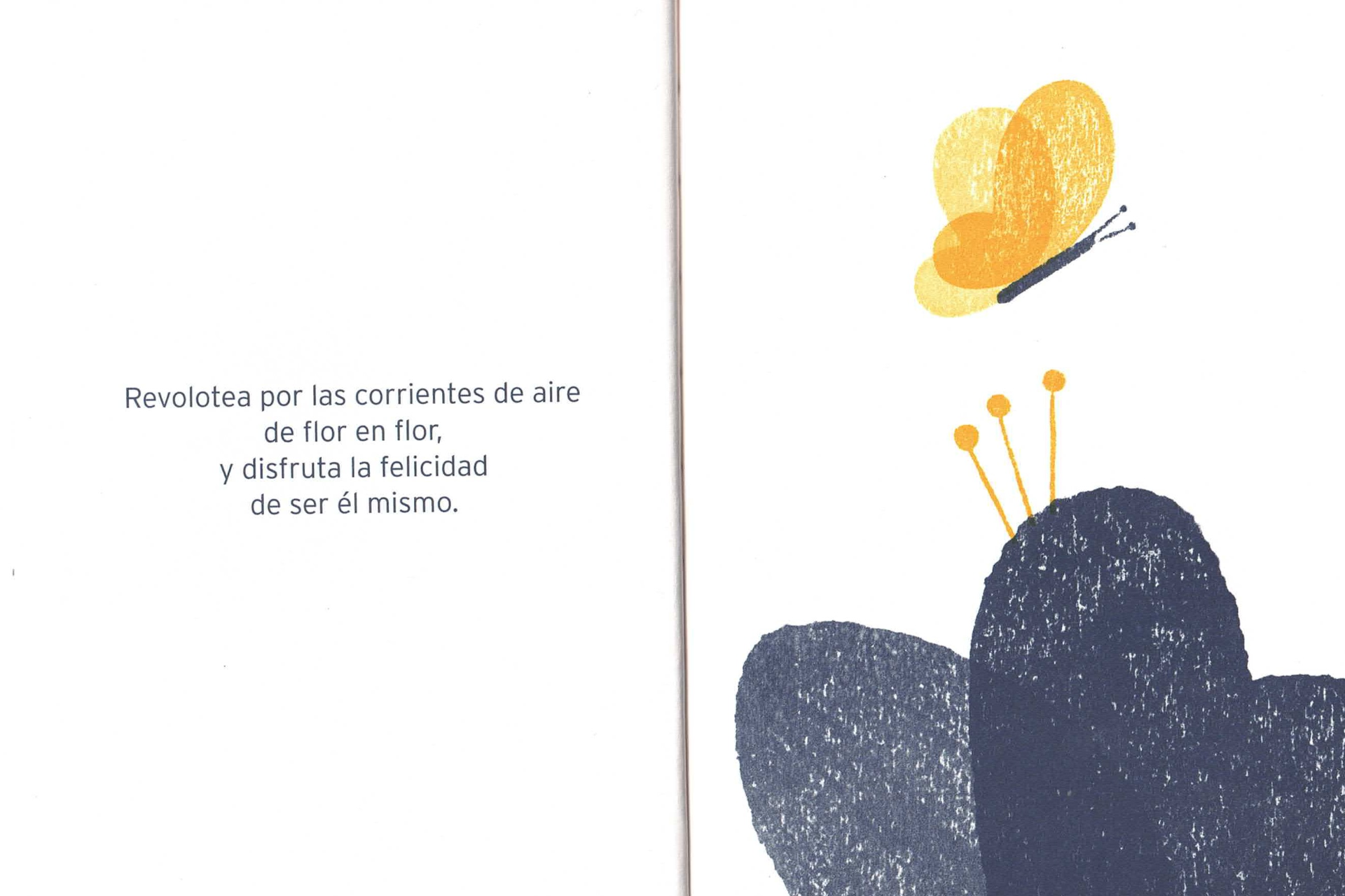 Filonimo. La mariposa de Chuang Tse