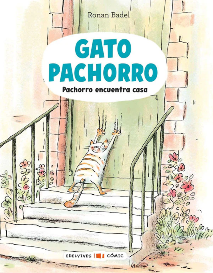 Gato Pachorro: Pachorro encuentra casa