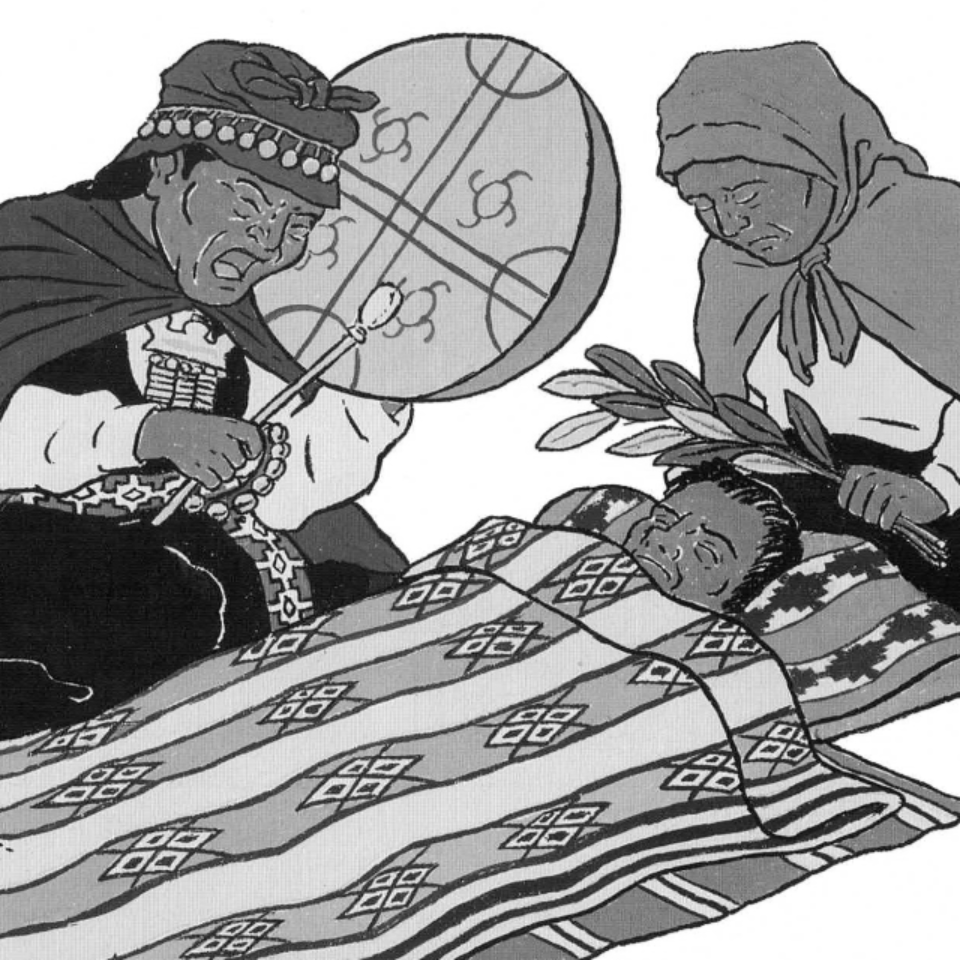 Una pequeña historia mapuche