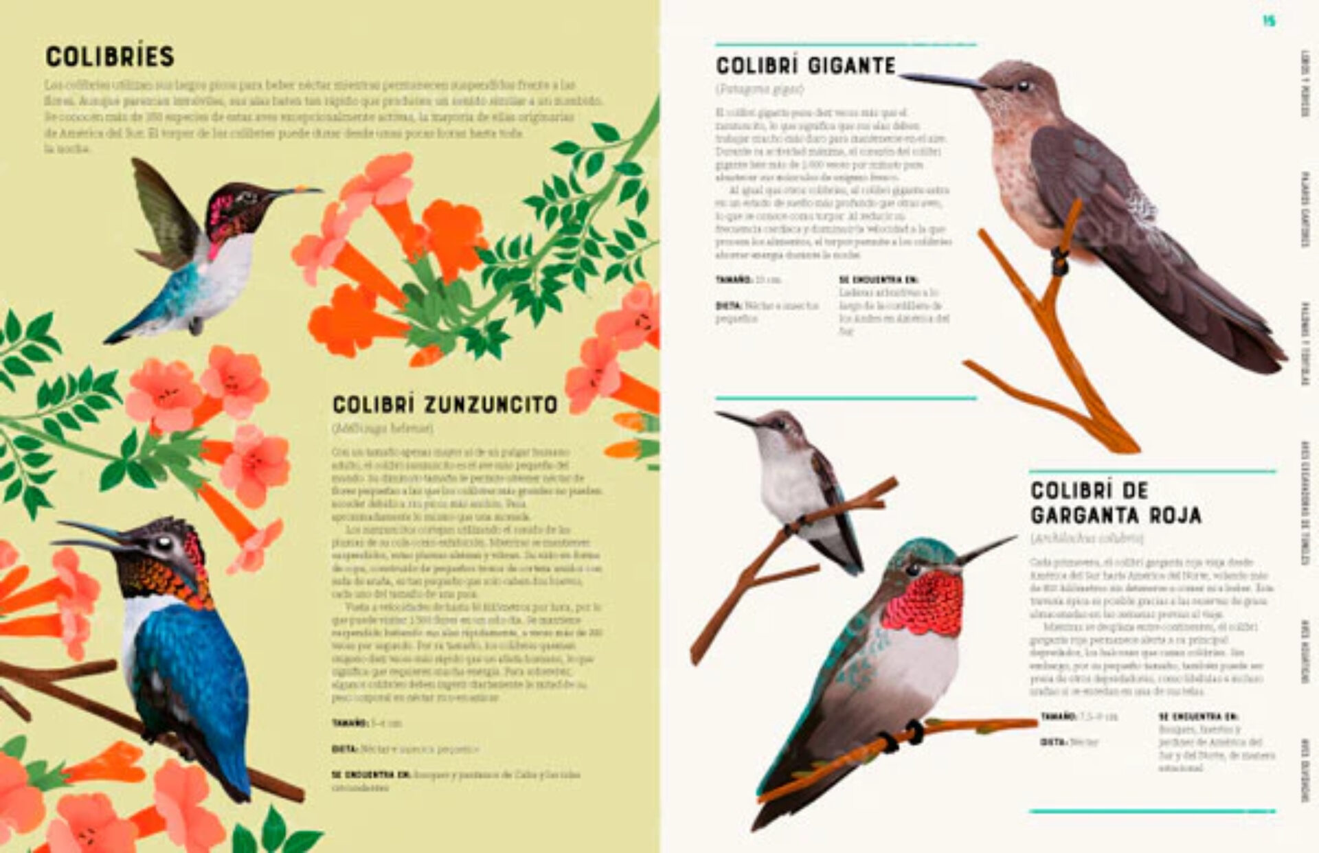 Enciclopedia de aves