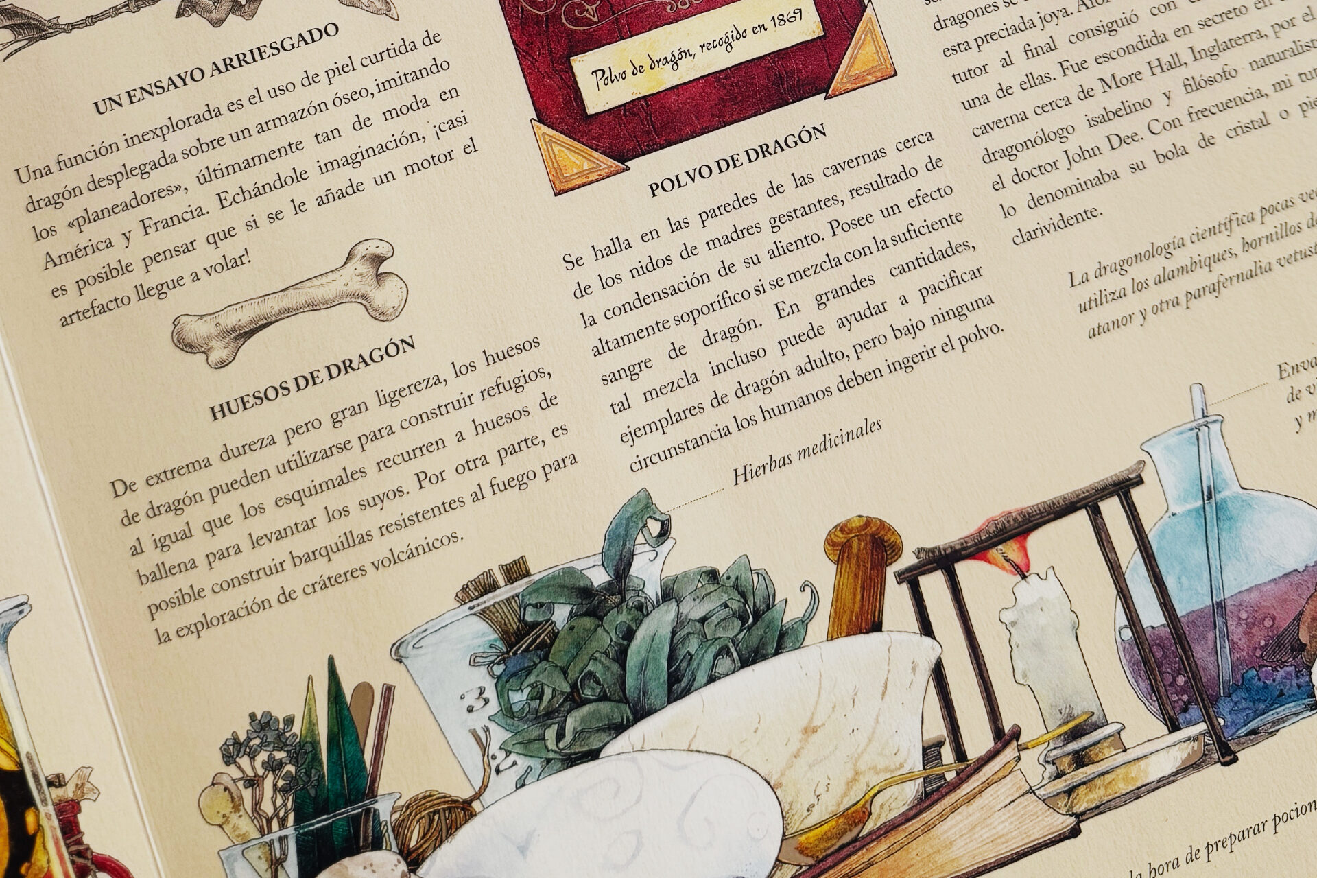 Dragonología. Un completo tratado sobre dragones