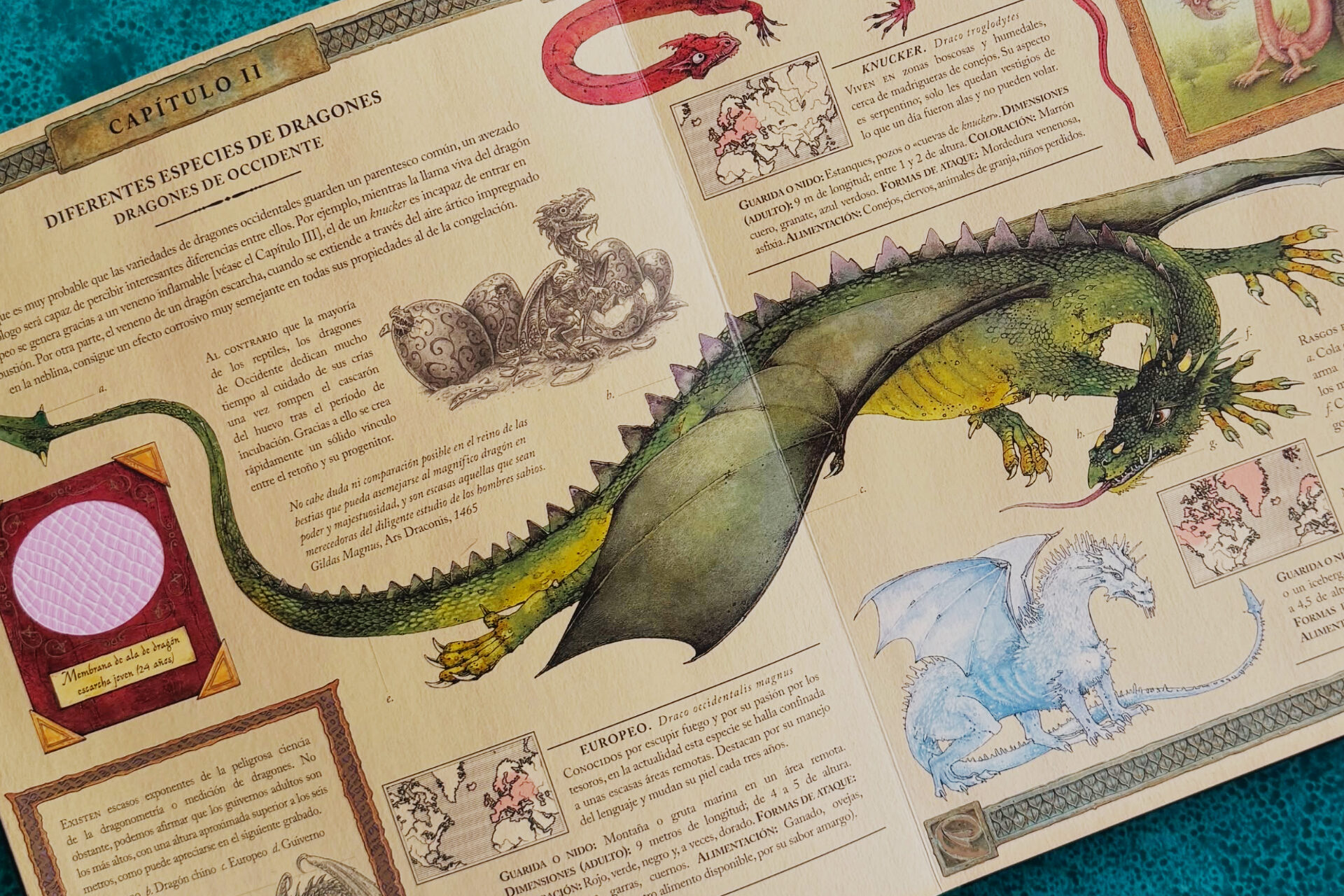 Dragonología. Un completo tratado sobre dragones