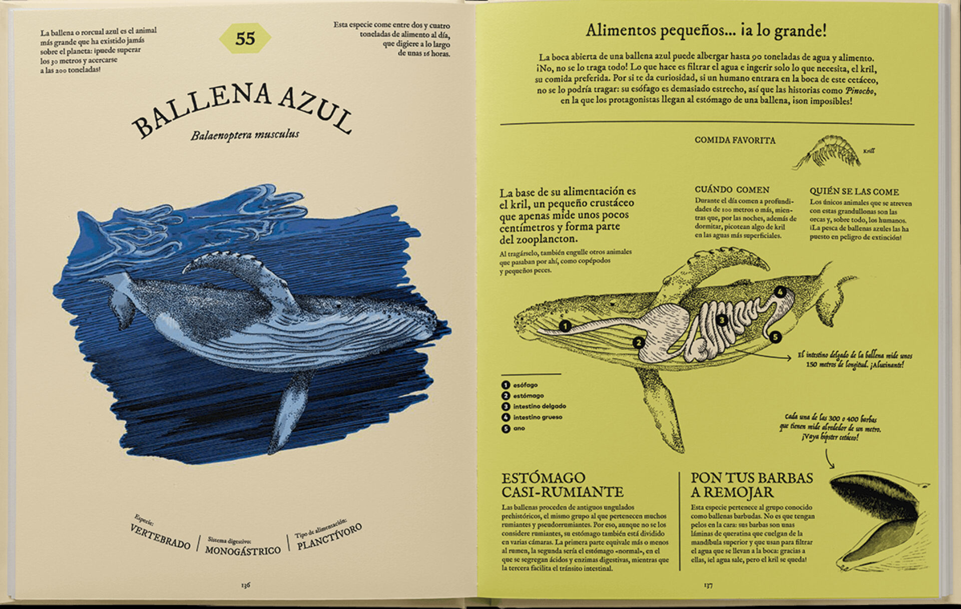 Comepedia