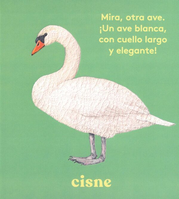 ¡Mira! Un ave