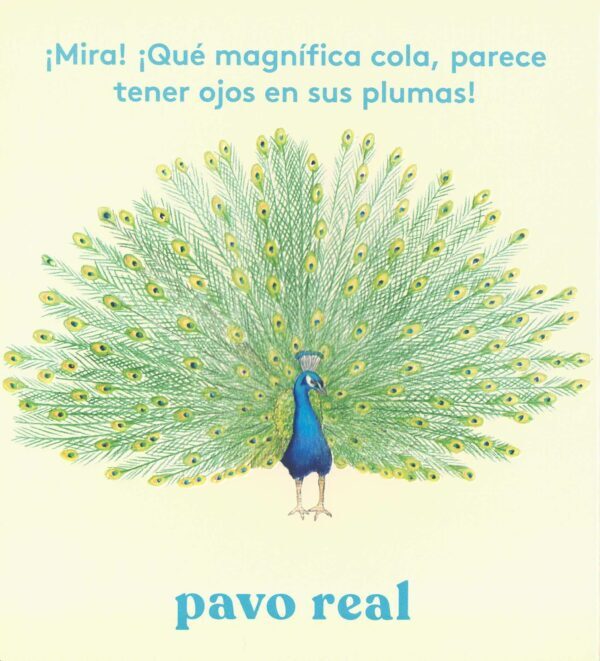 ¡Mira! Un ave