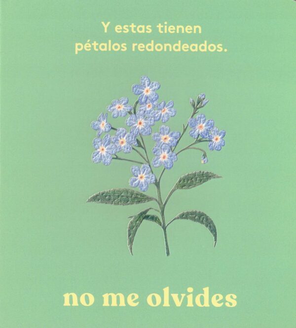 ¡Mira! Una flor