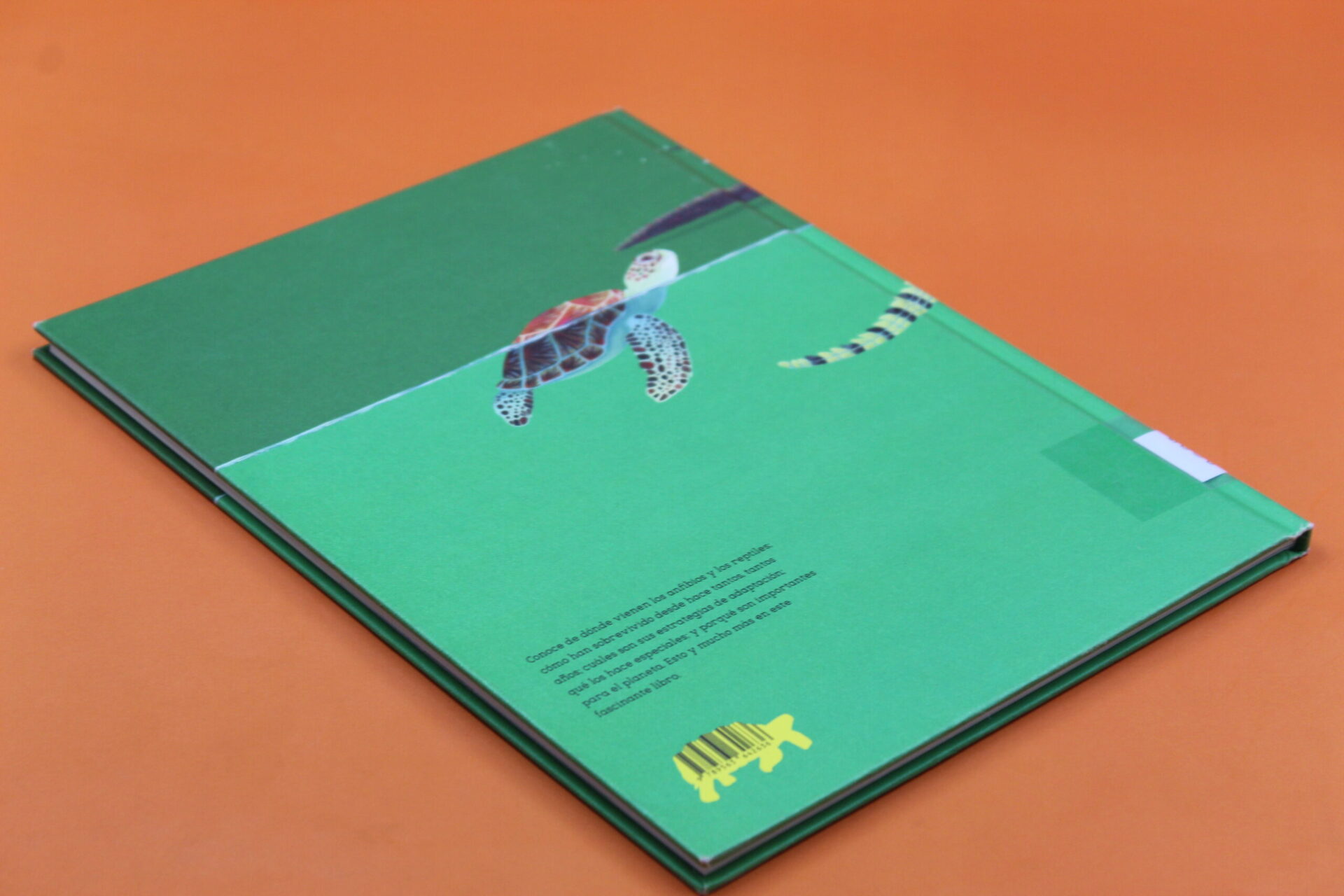 Agua y tierra. Anfibios y reptiles de América